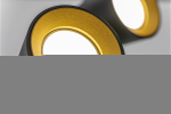 STOPNA SVJETILJKA ELLI 2XGU10 CRNA IP20 - Image 2