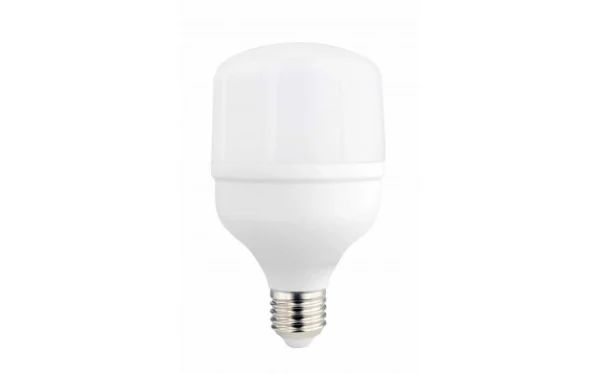 LED žarulja E27 T100 30W