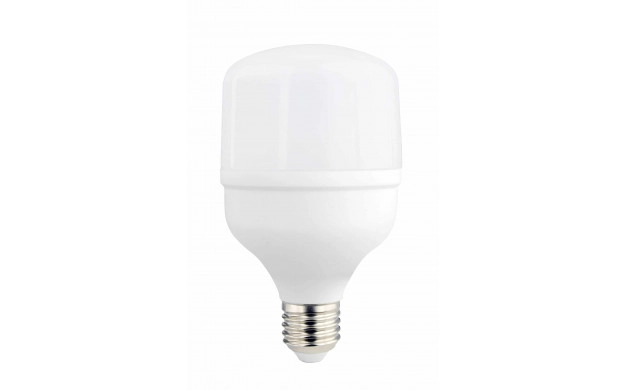 LED žarulja E27 T100 30W