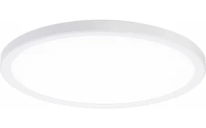 LED stropne svjetiljke bijelo tijelo 24W CCT+RGB