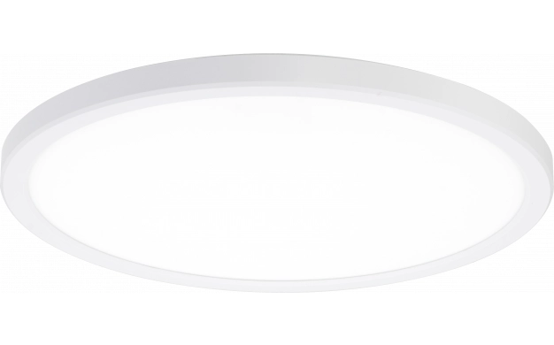 LED stropne svjetiljke bijelo tijelo 24W CCT+RGB