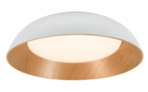 LED osvjetljeno tijelo 24W Bijelo/Drveno CCT