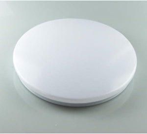 Stropna LED plafonjera 24W- bijela