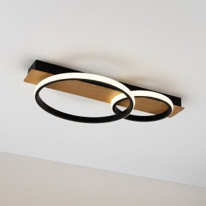 ROWENA 14W LED stropna lampa