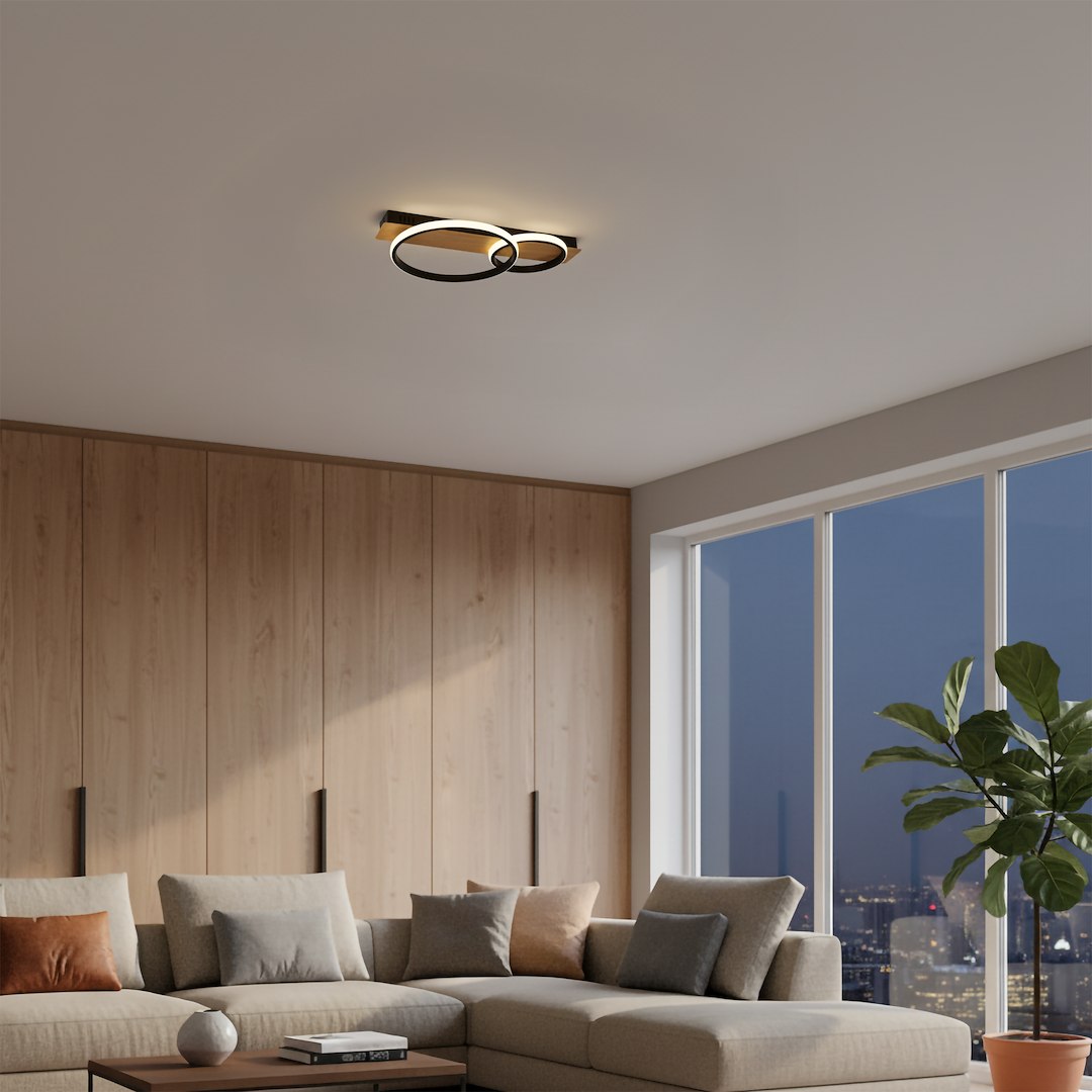 ROWENA 14W LED stropna lampa - Slika 3